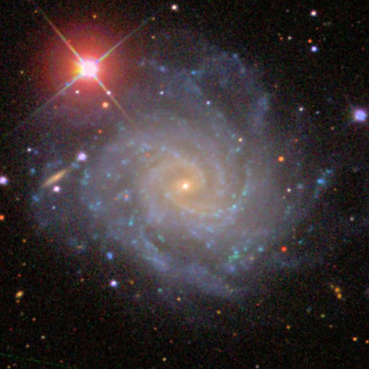 Clicca per ingrandire image